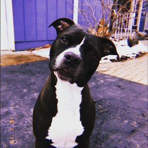 Meet your Posher, Eldon